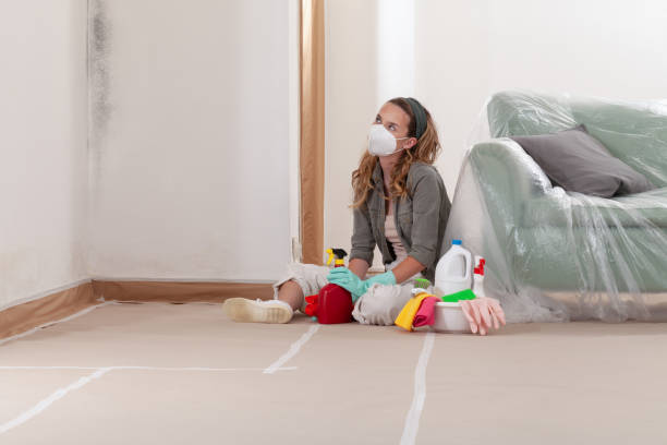 Reliable Mold Remediation contractor in Crownsville, MD by 24 Hour Mold Removal